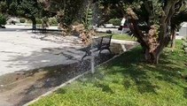 Messina, salta un tubo per l'irrigazione: croceristi a passeggio nella 
