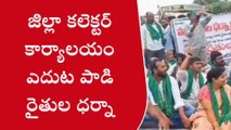 సిరిసిల్ల: జిల్లా కలెక్టర్ కార్యాలయం ఎదుట పాడి రైతుల ధర్నా