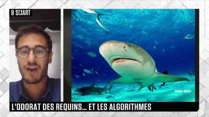 SMART TECH - S’inspirer des requins pour améliorer nos algorithmes !