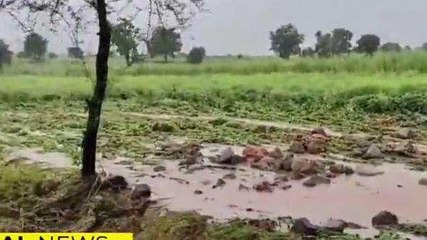 జహీరాబాద్: చెరువు కట్టకు గండి.. 50 ఎకరాల్లో పంట నష్టం