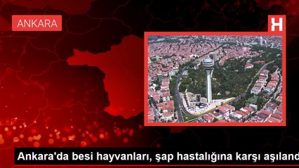 Tarım ve Orman Bakanlığı Şap Hastalığına Karşı Aşılama Kampanyası Başlattı