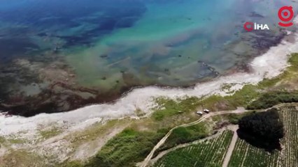 Van Gölü'nde su seviyesi düştü: Adacık gün yüzüne çıktı