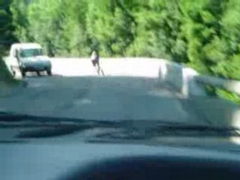 Descente du Col du Granier à Chambéry en Roller