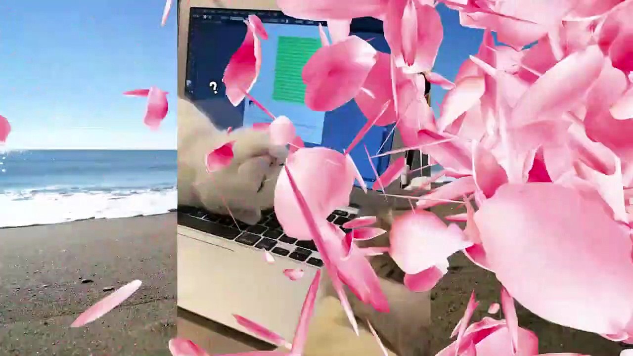 Only funny and cute cats. Funny  annual .