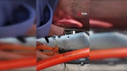 Kayseri Büyükşehir Belediyesi İtfaiye Daire Başkanlığı, Kayseri Kalesi'nde Mahsur Kalan Yavru Kediyi Kurtardı
