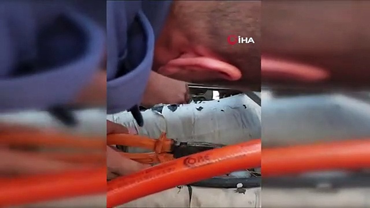 Kayseri Büyükşehir Belediyesi İtfaiye Daire Başkanlığı, Kayseri Kalesi'nde Mahsur Kalan Yavru Kediyi Kurtardı