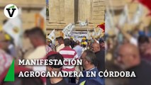 Agricultores y ganaderos en pie de guerra contra las políticas de Bruselas este martes en Córdoba