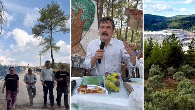 TİP Genel Başkanı Erkan Baş, Akbelen'de: Buraya gelmeyenlere sesim ulaşacaksa eğer onlardan tek bir şey isteyebilirim, ne yapın edin burayı görün