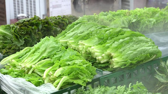 지난달 소비자물가 3.4%↑...3개월 만에 3%대 / YTN
