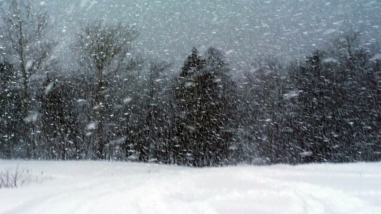SNOW STORM SOUND, SNOWSTORM BLIZZARD SOUNDS, WINTER STORM SOUND For Sleeping, Wind Storm for 1 Hours
