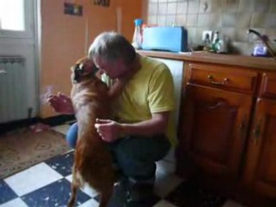 un chien fou