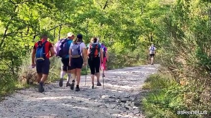 Partecipano a pellegrinaggio e si sposano lungo il Cammino