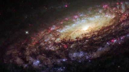 Hubble's Field Guide to Galaxies