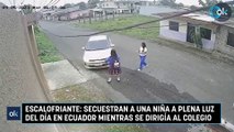 Escalofriante: Secuestran a una niña a plena luz del día en Ecuador mientras se dirigía al colegio
