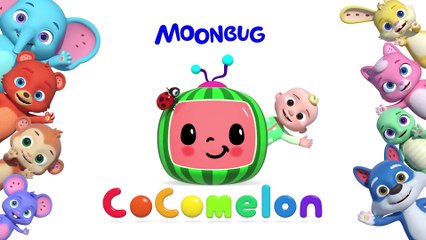 Fast vs Slow Dance Party (Tortoise and the Hare Song)  - CoComelon Nursery Rhymes & Kids Songs