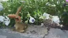Stop Motion