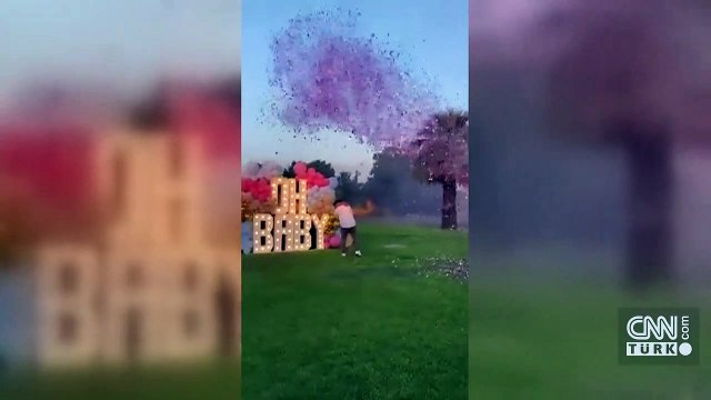 Cinsiyet belirleme partisinde facia: Uçak yere çakıldı pilot öldü