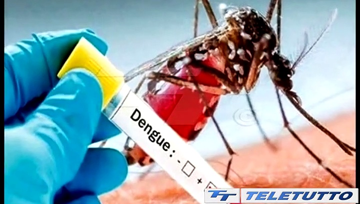 Video Video News - DENGUE, CASO SOSPETTO IN CITTA'