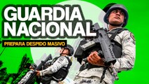 Han hecho todo para que LOS POLICÍAS FEDERALES SE VAYAN Y LOS MILITARES SE QUEDEN: María Elena Morera