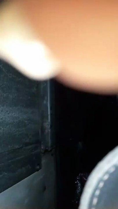 Passageira denuncia infestação de baratas em ônibus de BH
