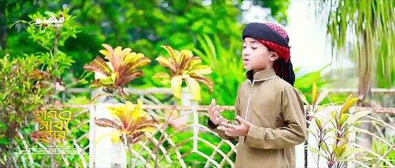 তুমি নাবী সুন্দর _ Tumi Nabi Sundor । Islamic Nasheed Ali