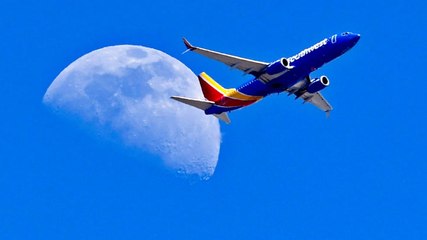 Southwest Is Giving Away 2-month Companion Passes With the Purchase of a Round-trip Flight — but You'll Have to Book Fast