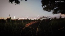 Faslon Ko Takaluf Hai Hum Se Agar _ (Slowed Reverb) _ Raees Asif _ Beautiful Naat _ Halal Vibes