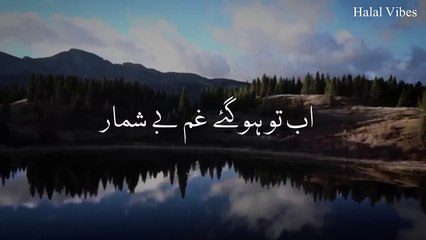 Ho Karam Sarkar Ab To _ (Slowed+Reverb) _ Ghulam Mustafa Qadri _ Halal Vibes