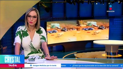 Clausuran la empresa que mató a perros y gatos con maquinaria pesada en Ensenada