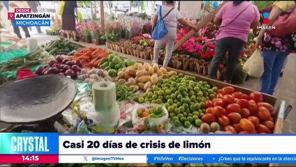 Crisis de limón: Se cumplen 19 días de suspensión de actividades en Apatzingán