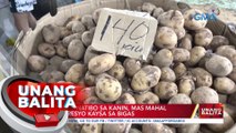 DOH: Kamote at mais, ilan sa puwedeng pamalit sa kanin habang mataas ang presyo ng bigas | UB