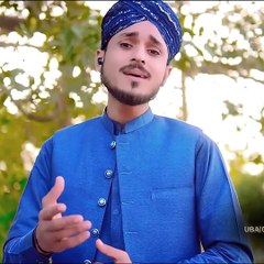NAATAN MUHAMMAD ﷺ DIYAN - FARHAN ALI QADRI - SHORT