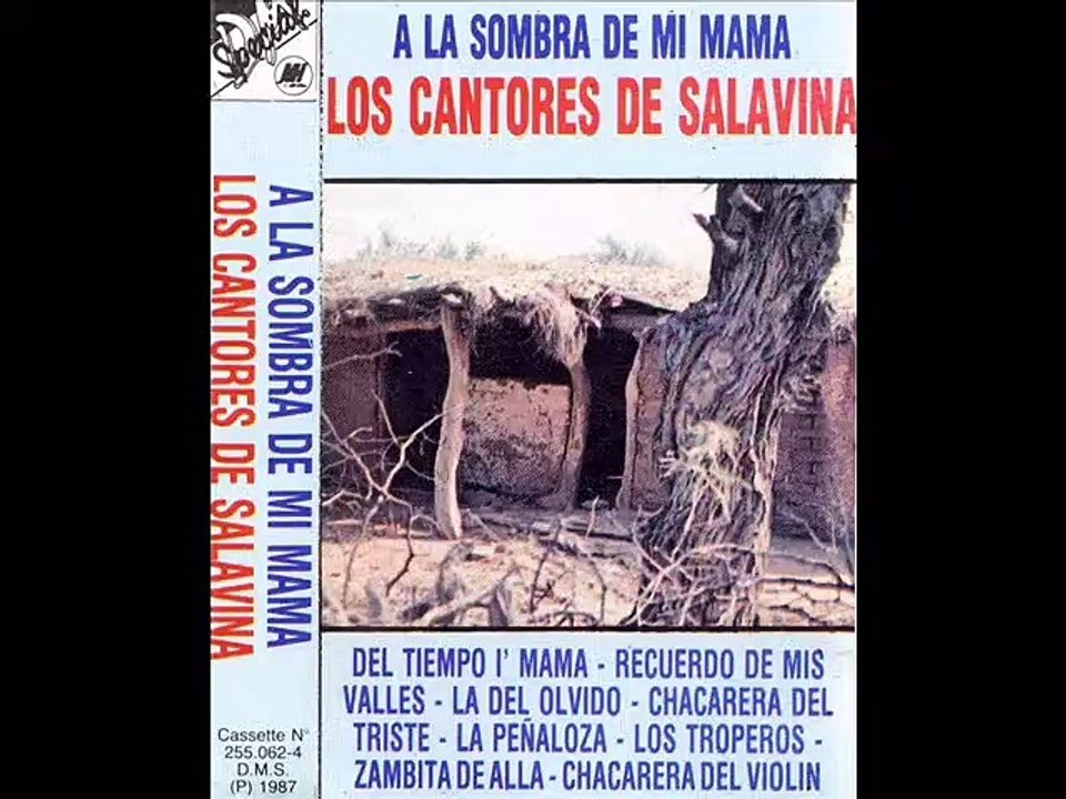 Los Cantores de Salavina - Los troperos