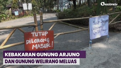 Kebakaran Meluas, Jalur Pendakian dan Wisata Tahura Raden Suryo Ditutup