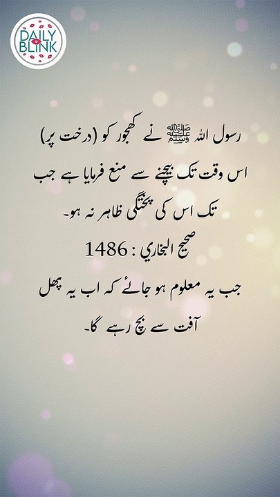 Daily Hadees | Hadees Sharif | Sahih Bukhari 1486 || Daily Blink #shorts #viral #sahihbukhari