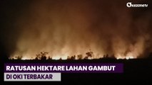 Ratusan Hektare Lahan Gambut di OKI Terbakar, Pemadaman Terkendala Angin dan Akses ke Lokasi