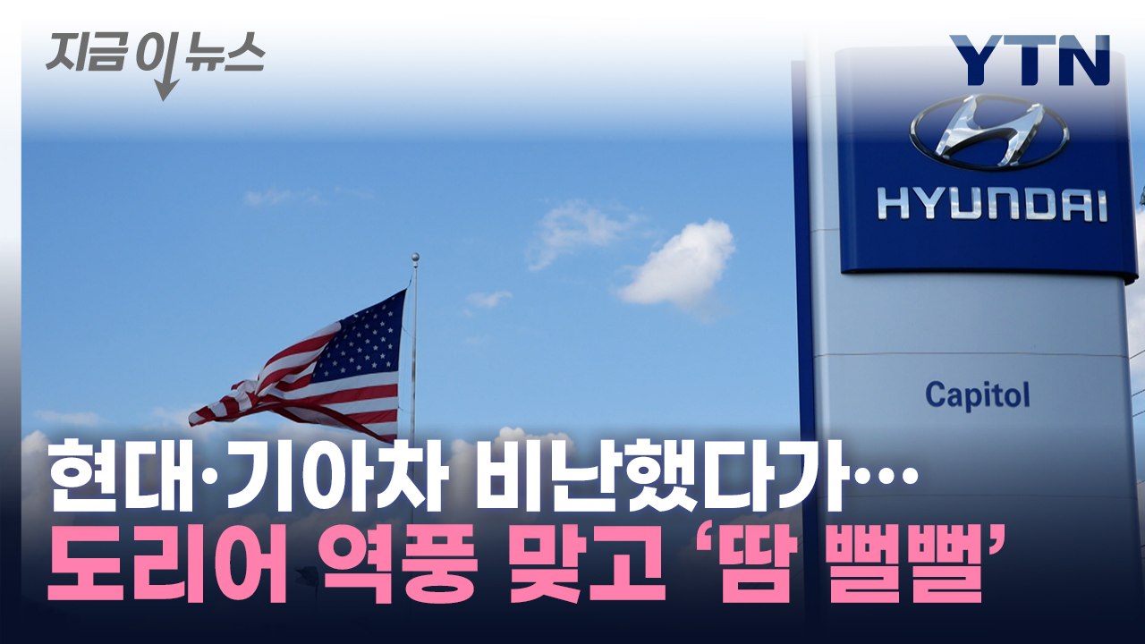 "그게 왜 현대·기아차 때문?"...독자들 비난 쏟아진 기사 [지금이뉴스] / YTN