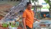Saltwater Crocodile's Illness | Born to be Wild