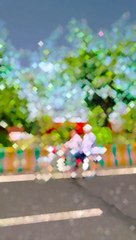 Muslim Attitude ☝️ ☪️ _ Masha Allah  #follow