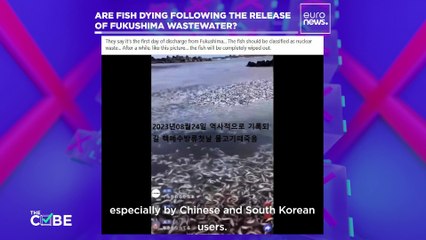 Are thousands of dead fish washing up in Japan after the release of wastewater from Fukushima?