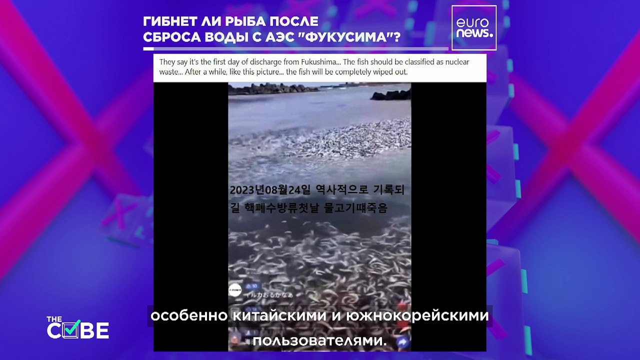 Мертвая рыба близ Фукусимы: фейк или правда?