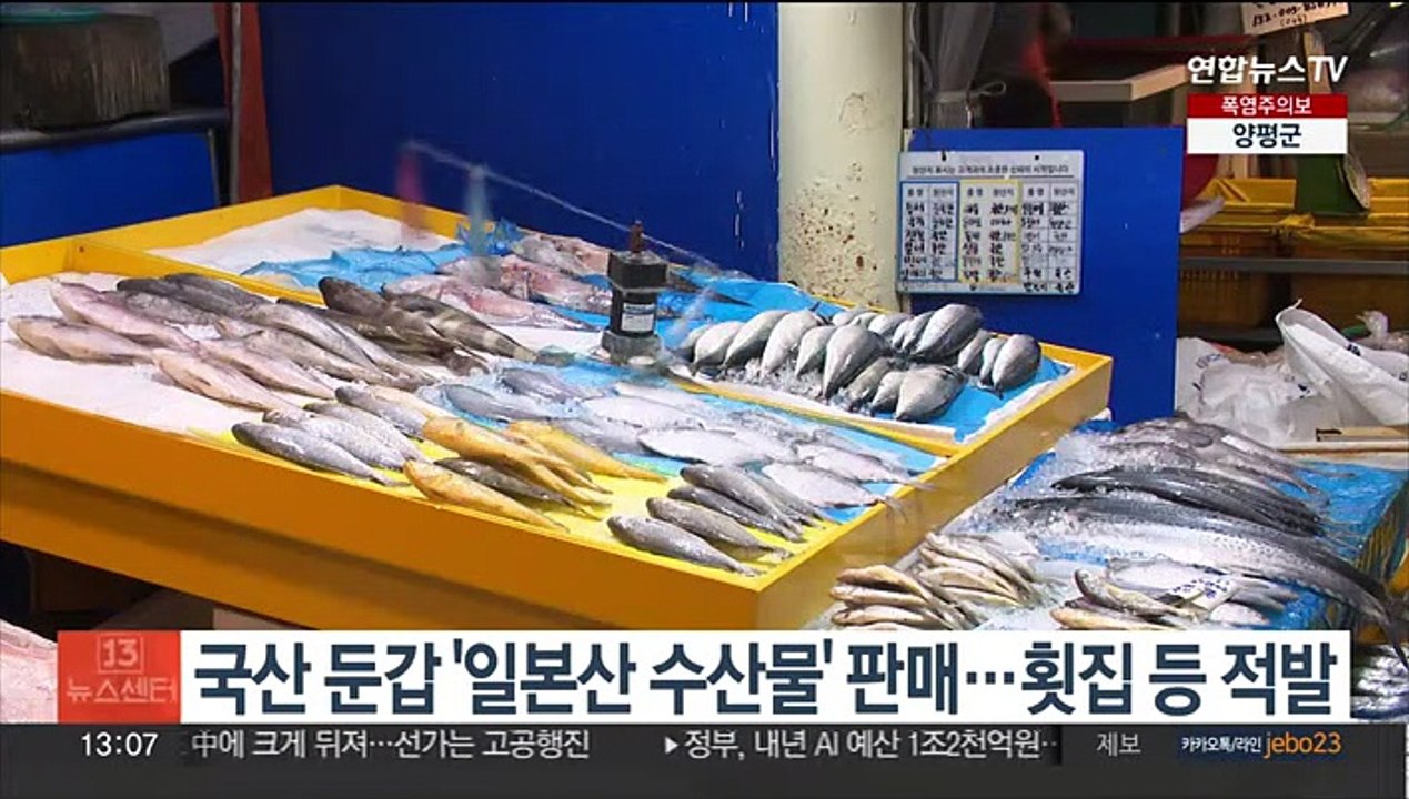 국산 둔갑 '일본산 수산물' 판매…횟집 등 적발