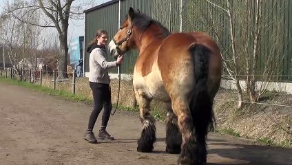 When Kim says NO, it is NO!!