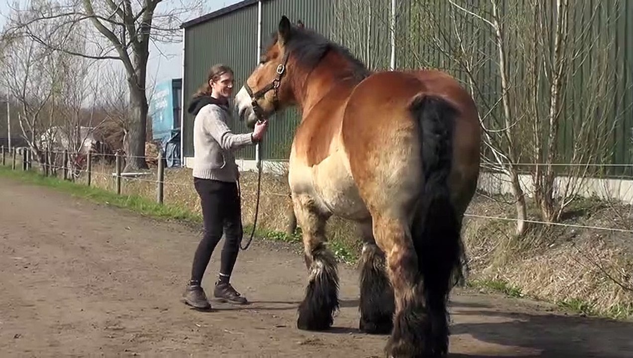 When Kim says NO, it is NO!!