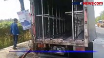 Truk Angkut Seribu Anak Ayam di Maros Terbakar, Diduga Korsleting Listrik