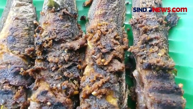 Sedapnya Lele Bakar Bumbu Rempah, Kaya Rasa Gurih Pedas dan Manis