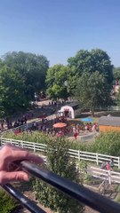 Undergarments Litter State Fair Ride