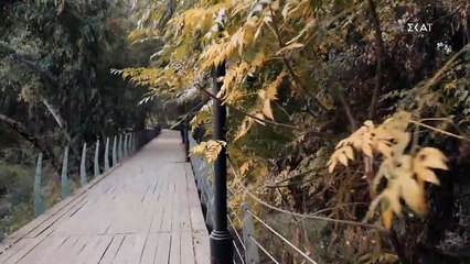 8 Λέξεις (Σ2) - Επεισόδιο 187 (22-03-2021)