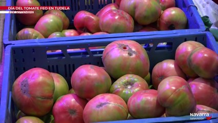 De Fiesta en Fiesta 05/09/2023