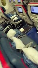 Así quedó el avión con destino a Barcelona tras la diarrea de uno de los pasajeros en su interior